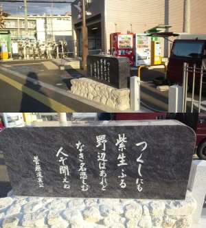 紫プロジェクト